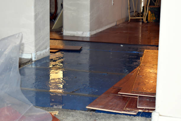 Professional Emergency Water Damage Restoration technician working in Lamont, MI