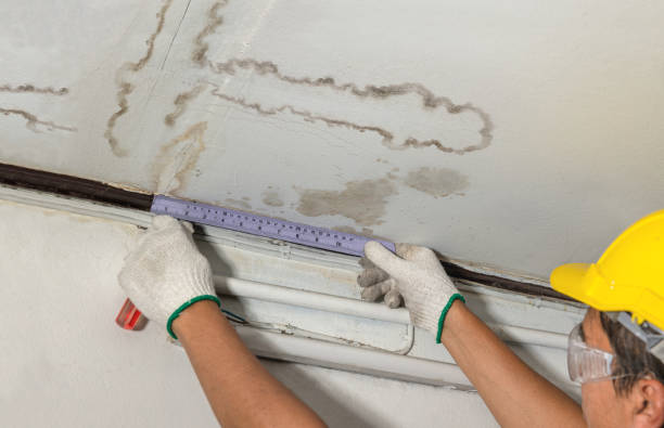 Reliable Emergency Water Damage Restoration contractor in Lamont, MI by Water Damage Irwin